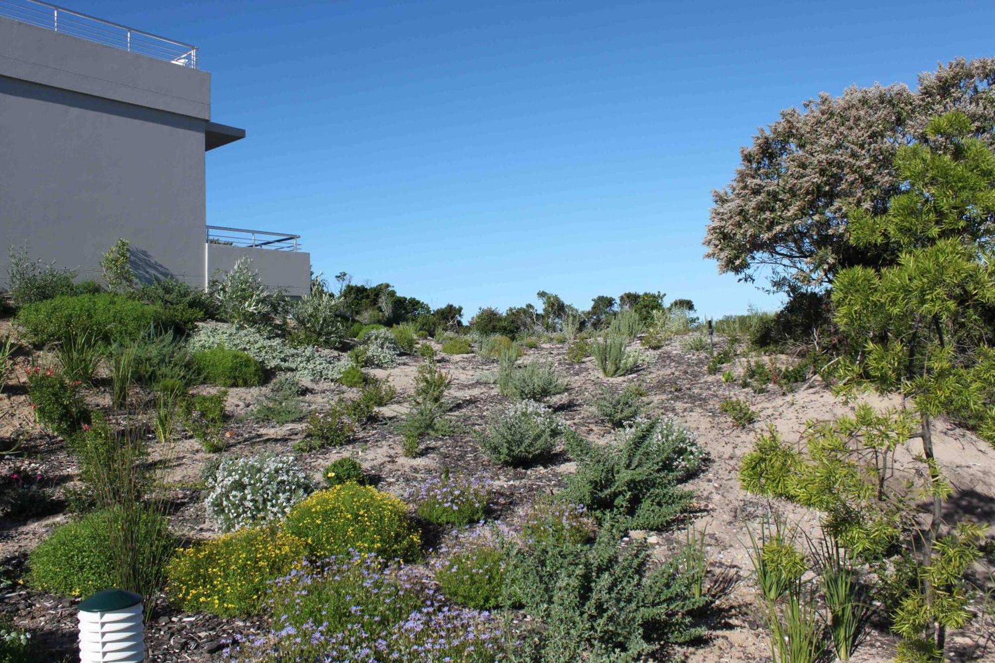 The Robberg Beach Lodge - Lion Roars Hotels & Lodges Плеттенберг-Бей Экстерьер фото